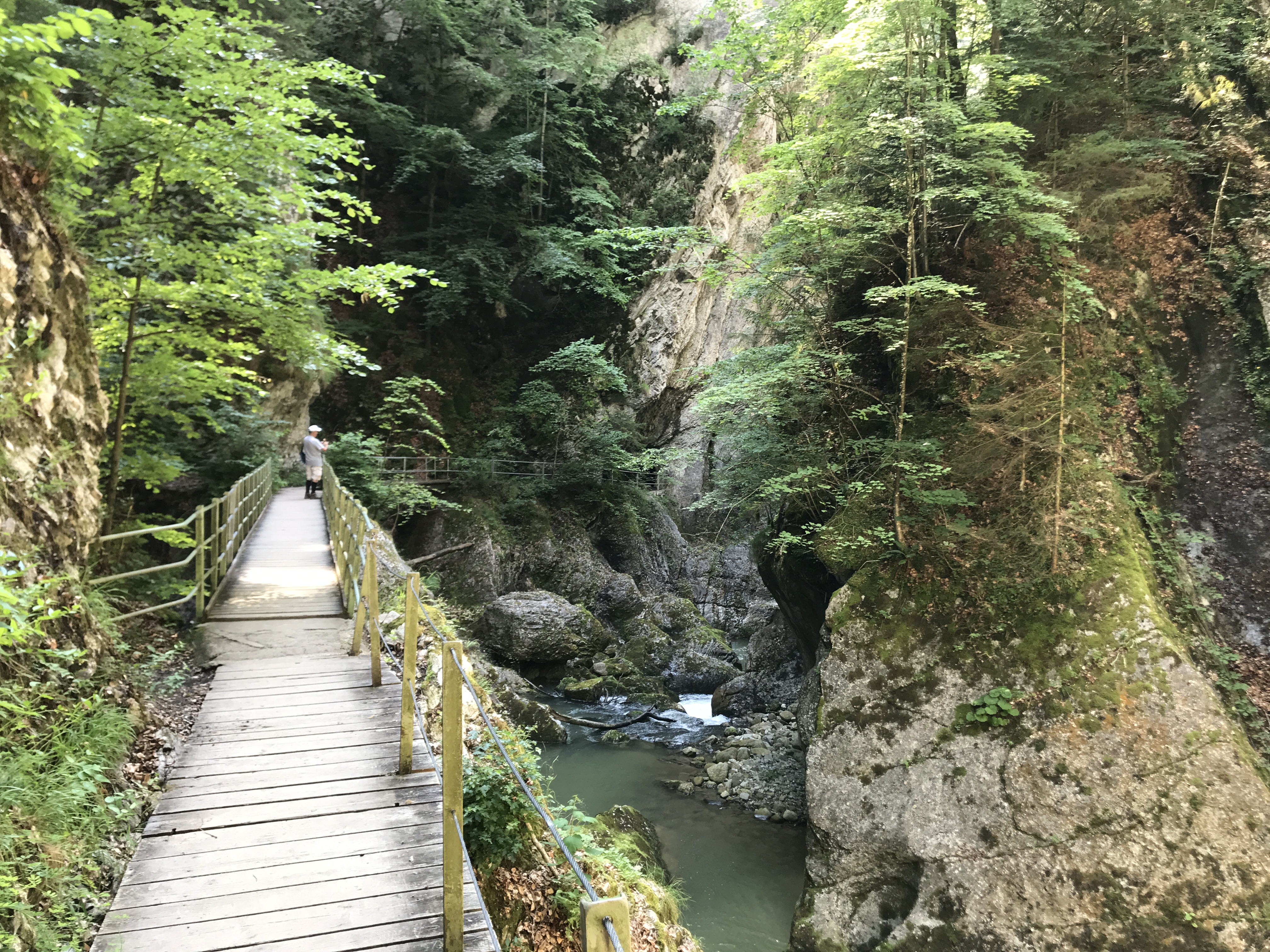 The Gorges de la Jogne  An incredible hike in La Gruyère
